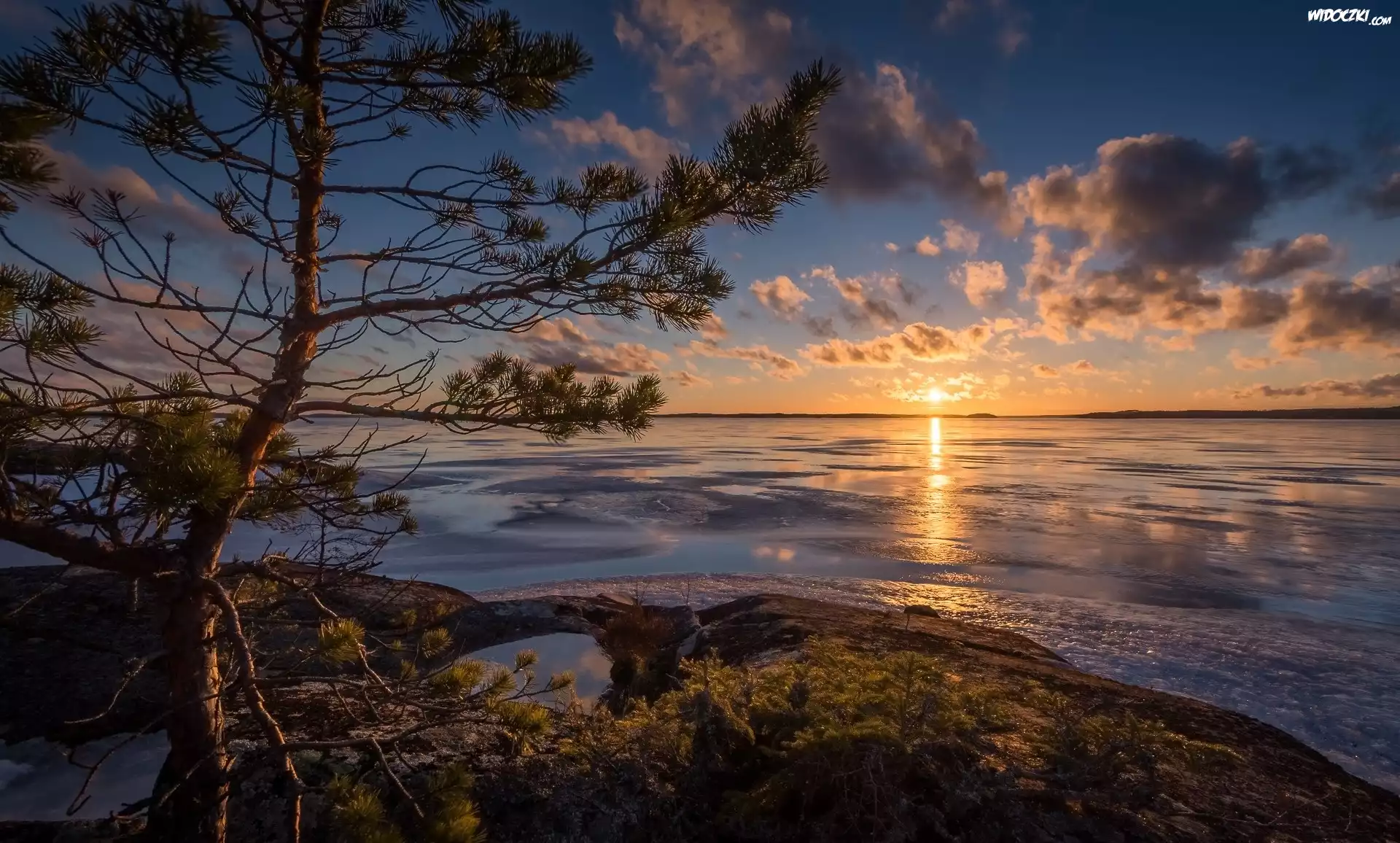 Finlandia, Region Pirkanmaa, Jezioro Näsijärvi, Przylądek Murikka, Jezioro, Zachód Słońca, Chmury, Sosna