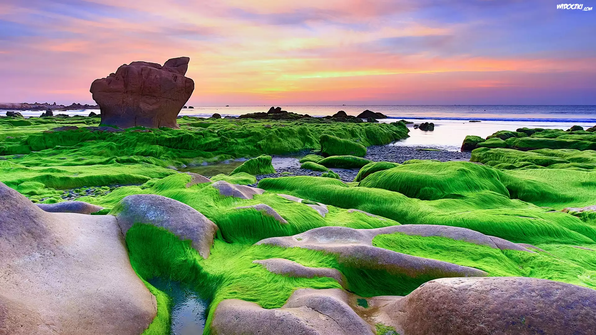 Morze, Brzeg, Wodorosty, Skały, Plaża Nam O Beach, Prowincja Da Nang, Wietnam