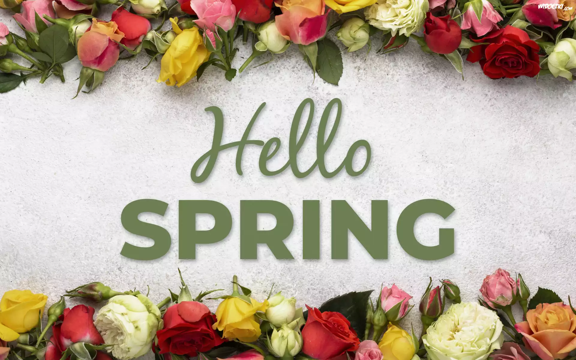 Kwiaty, Kolorowe, Róże, Napis, Hello Spring, Wiosna