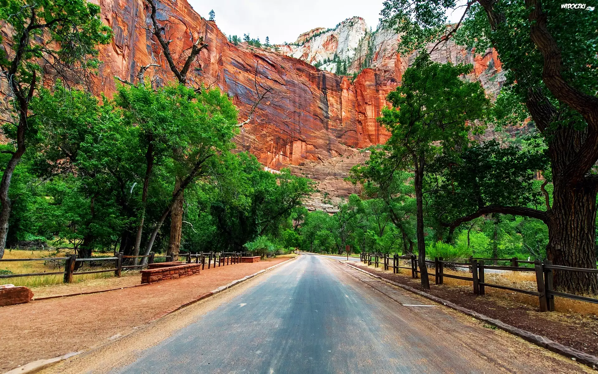 Stany Zjednoczone, Park Narodowy Zion, Stan Utah, Droga, Góry, Drzewa