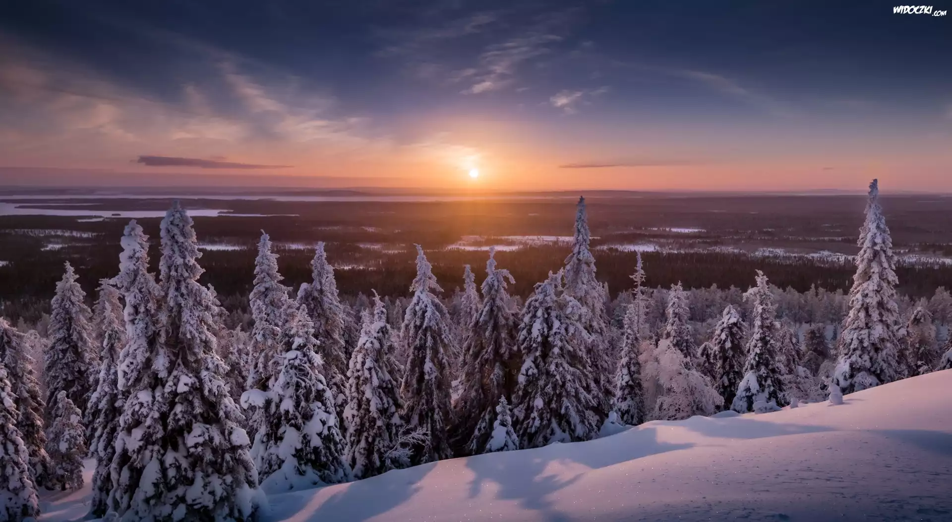 Finlandia, Laponia, Gmina Posio, Park Narodowy Riisitunturi, Zima, Drzewa, Świerki, Zachód słońca