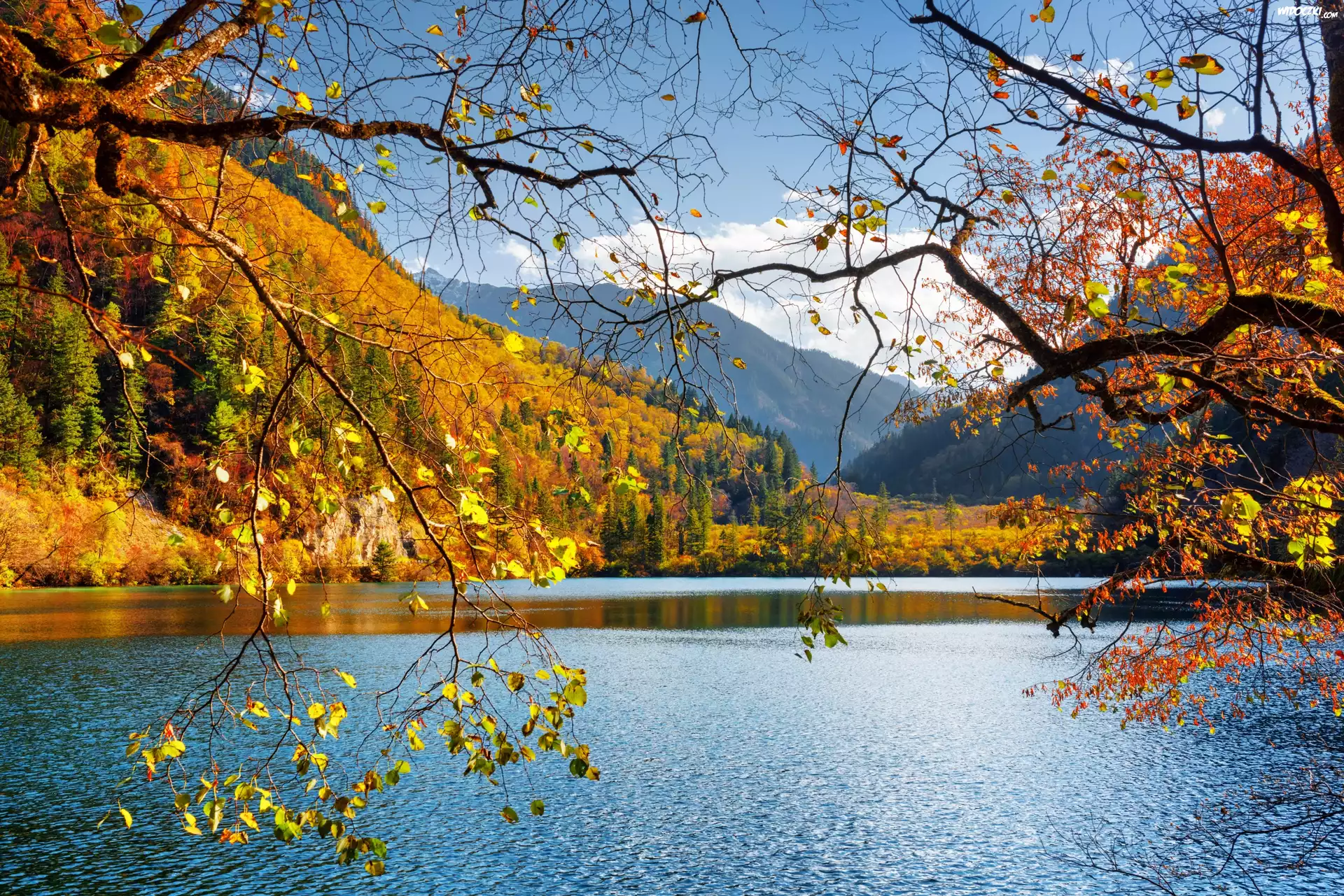 Chiny, Park Narodowy Jiuzhaigou, Jesień, Las, Góry, Jezioro Panda Lake, Drzewa