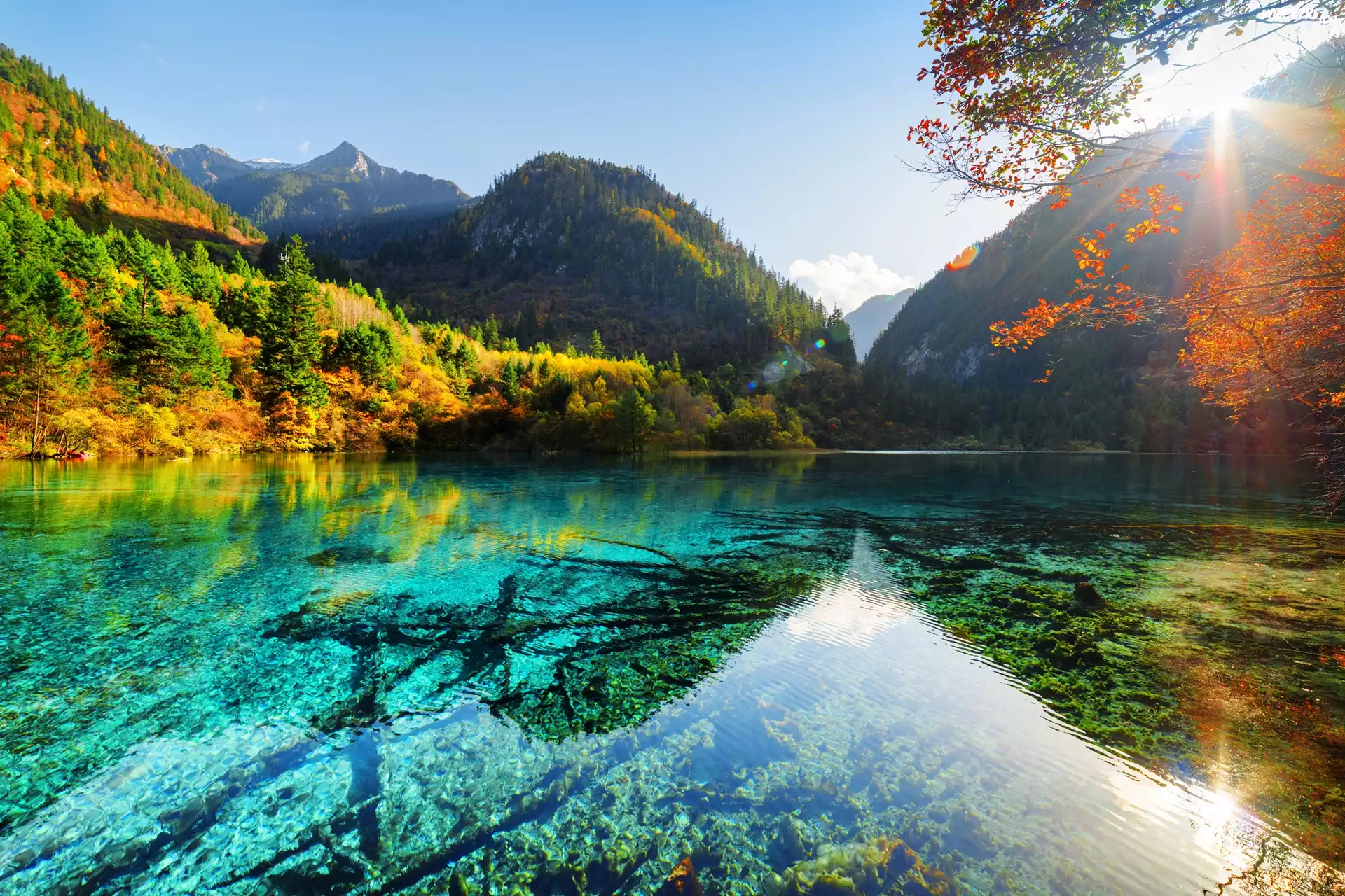 Chiny, Park Narodowy Jiuzhaigou, Jezioro Pięciu Kwiatów, Jesień, Góry, Las, Słońce