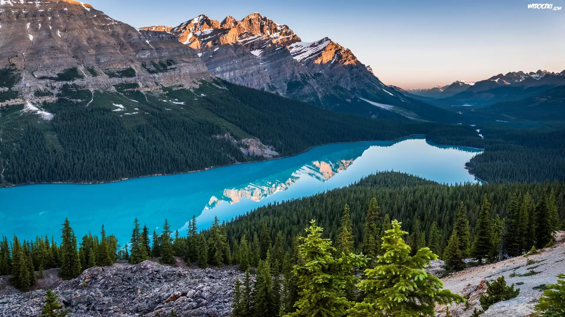Kanada, Park Narodowy Banff, Jezioro Peyto Lake, Góry Canadian Rockies, Lasy