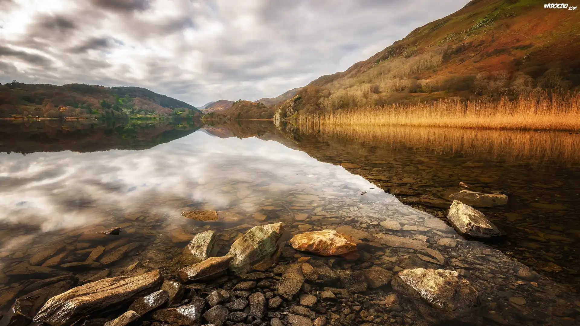 Walia, Park Narodowy Snowdonia, Jezioro Llyn Gwynant, Jesień, Kamienie, Wzgórza, Drzewa