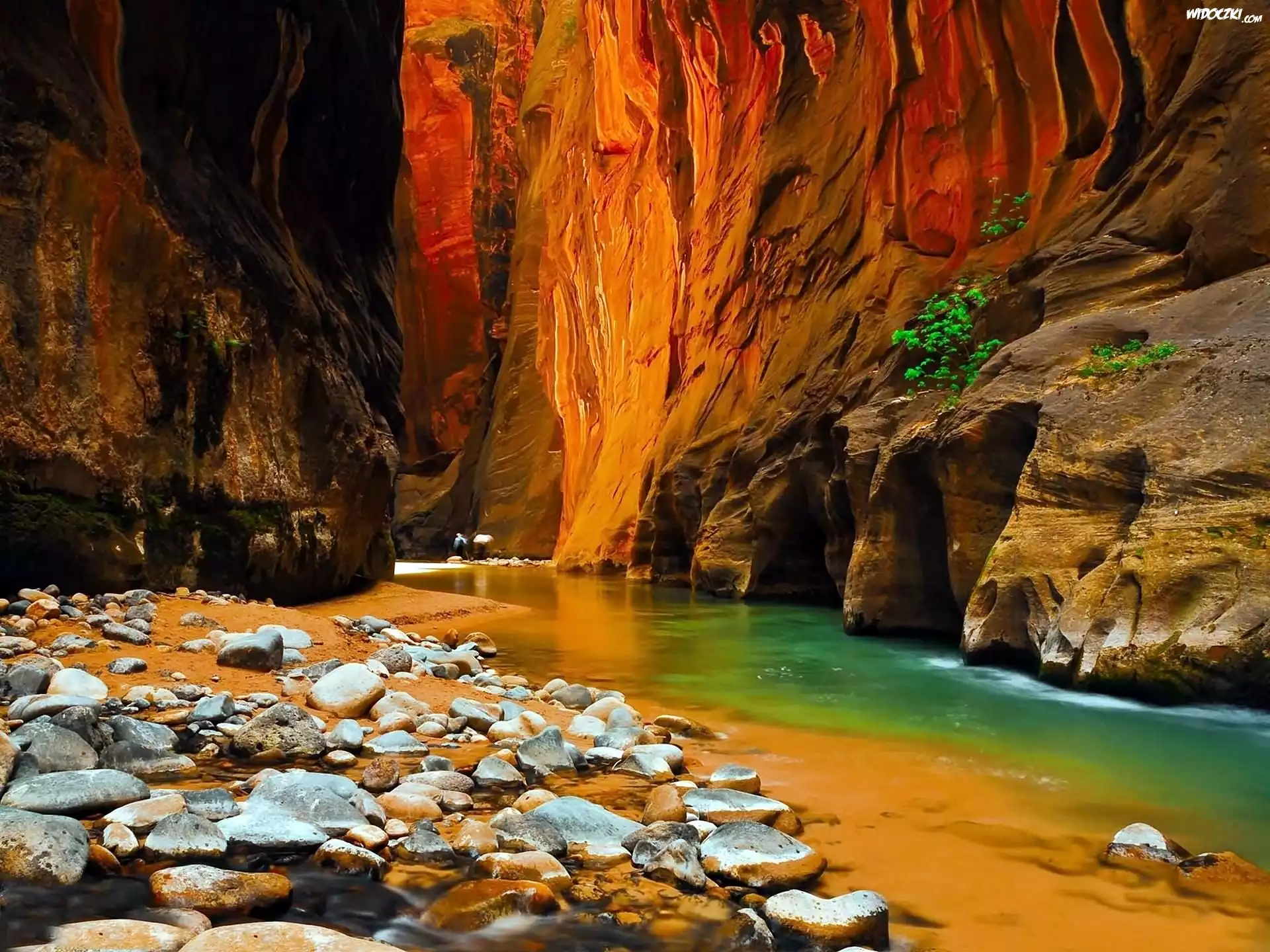 Stany Zjednoczone, Stan Utah, Park Narodowy Zion, Kanion, Rzeka Virgin River