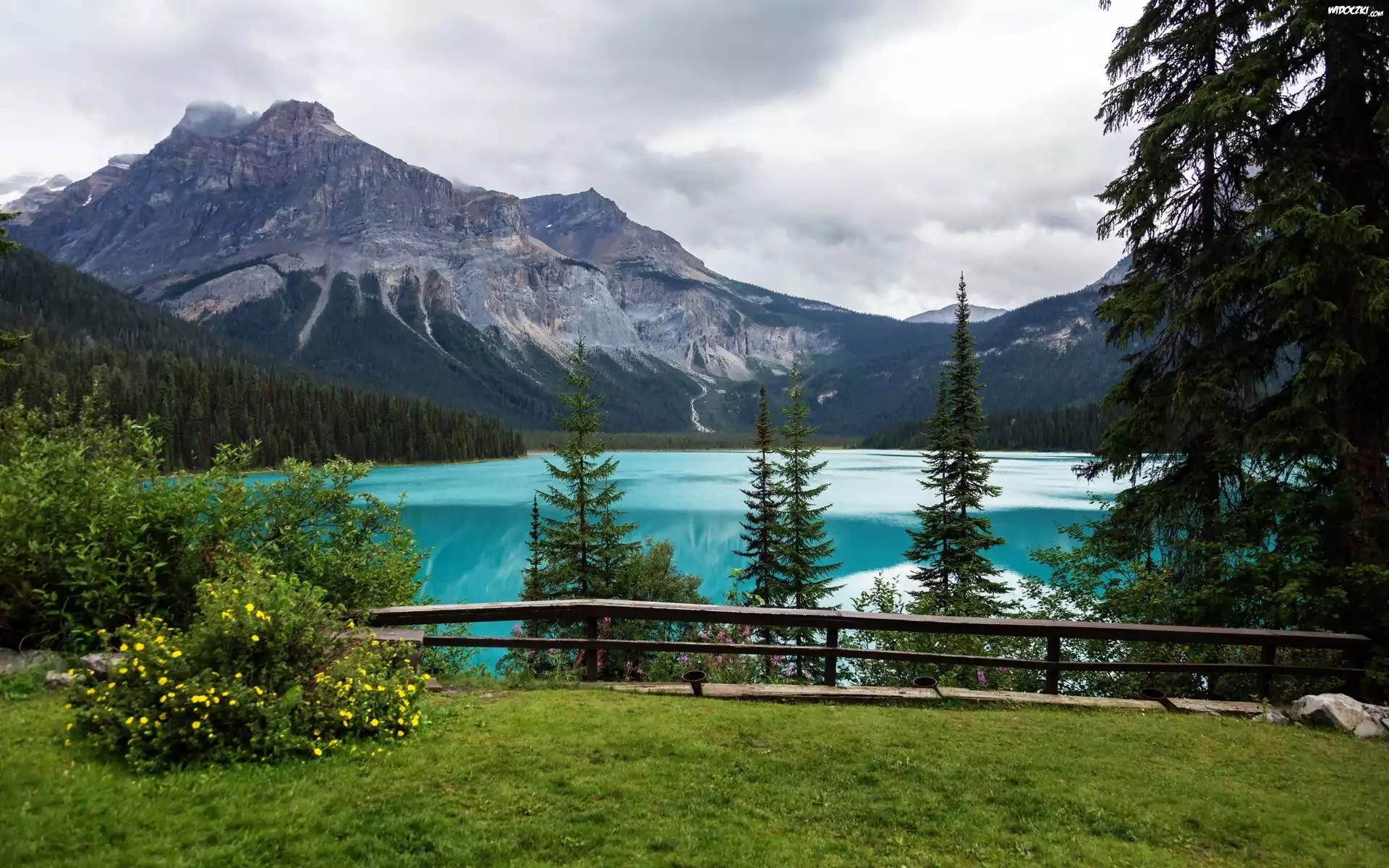 Kanada, Park Narodowy Yoho, Jezioro, Góry, Lasy