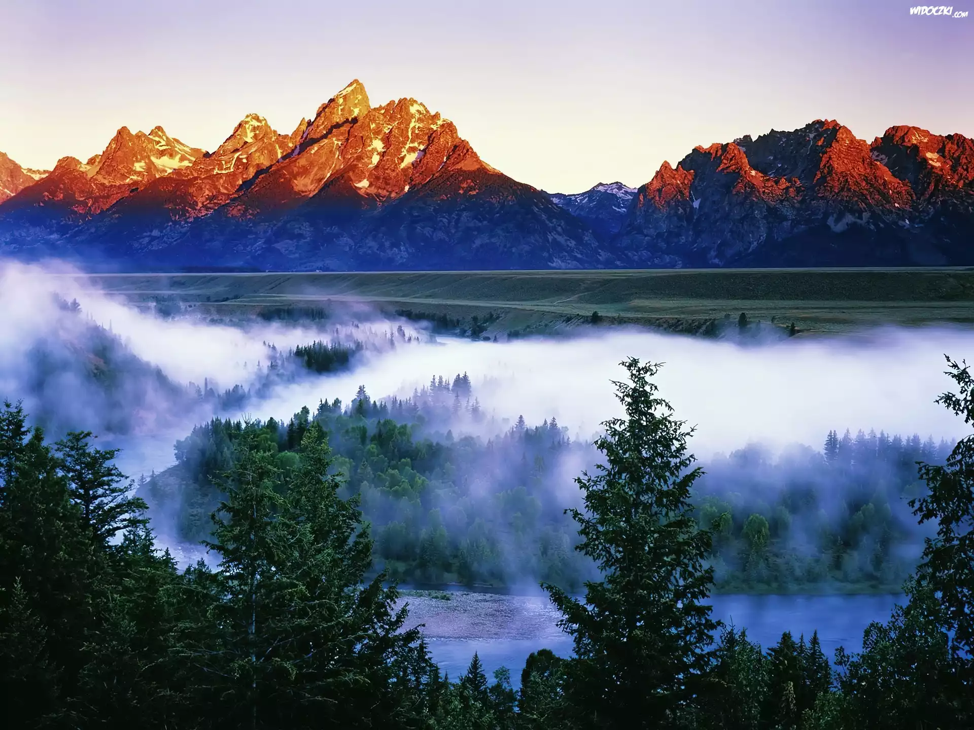 Stany Zjednoczone, Stan Wyoming, Park Narodowy Grand Teton, Góry Teton Range, Mgła, Las