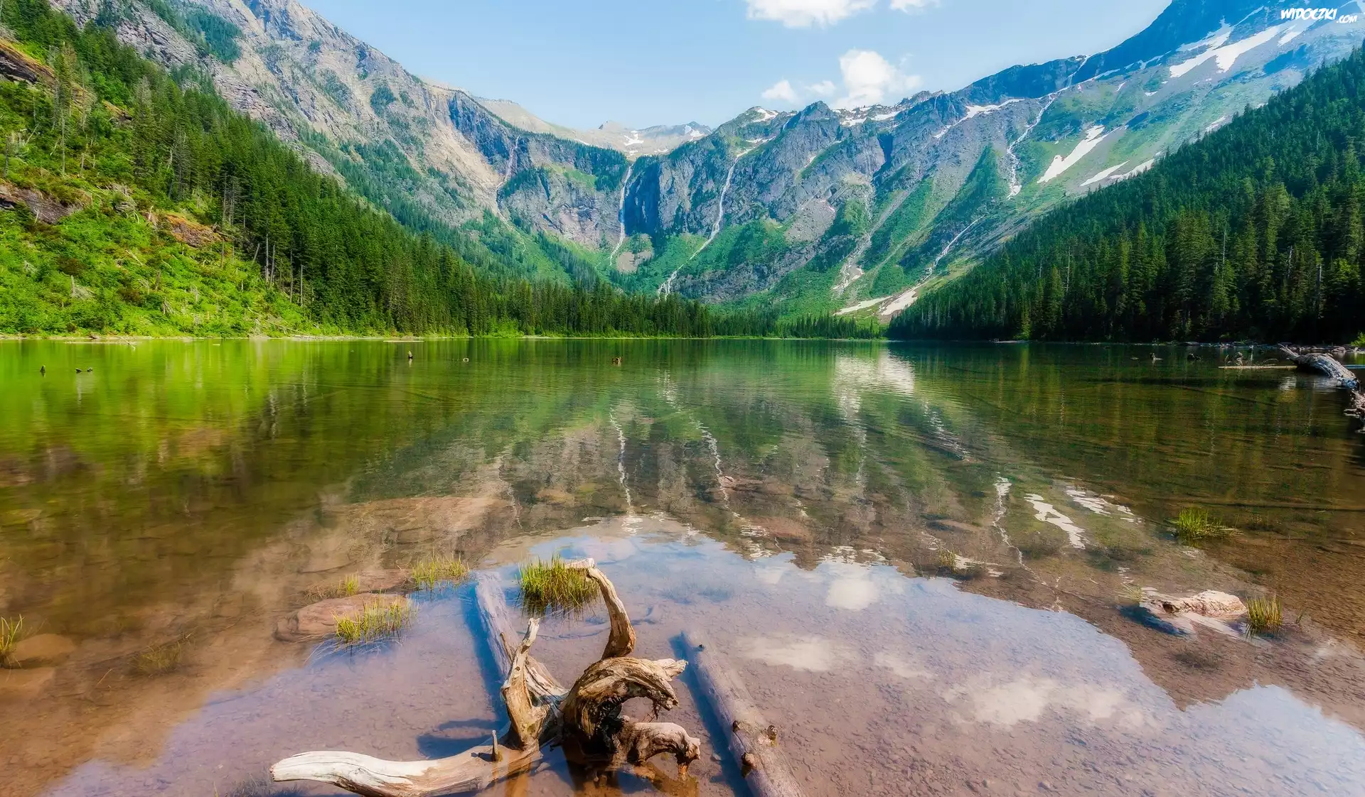 Stany Zjednoczone, Stan Montana, Park Narodowy Glacier, Jezioro Hidden Lake, Góry, Drzewa