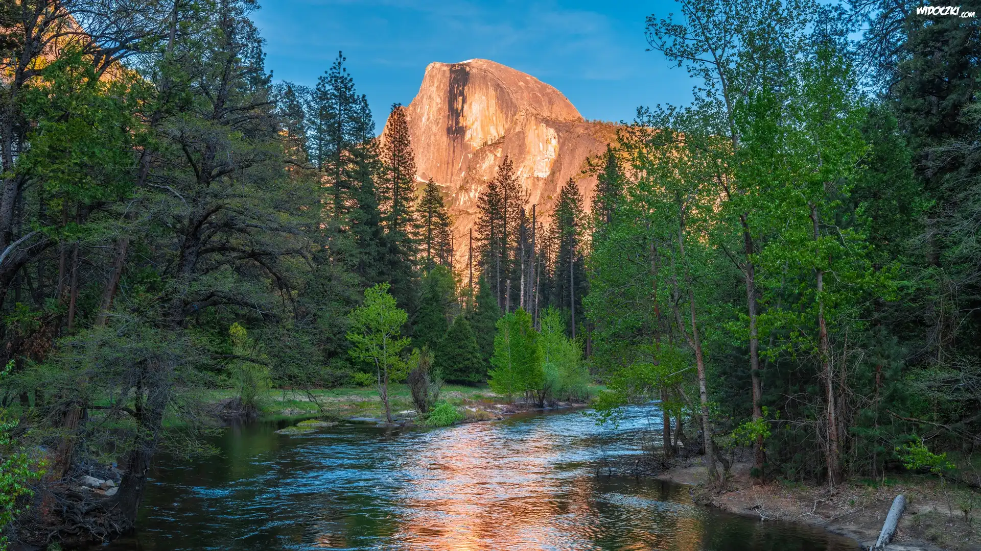 Stany Zjednocznone, Kalifornia, Park Narodowy Yosemite, Góry, Szczyt Half Dome, Rzeka, Merced River, Drzewa