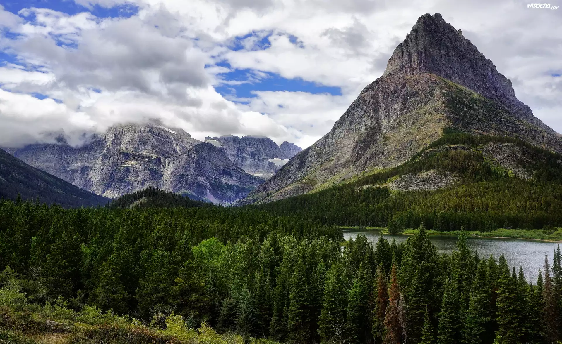 Stany Zjednoczone, Stan Montana, Park Narodowy Glacier, Góry, Rzeka, Las
