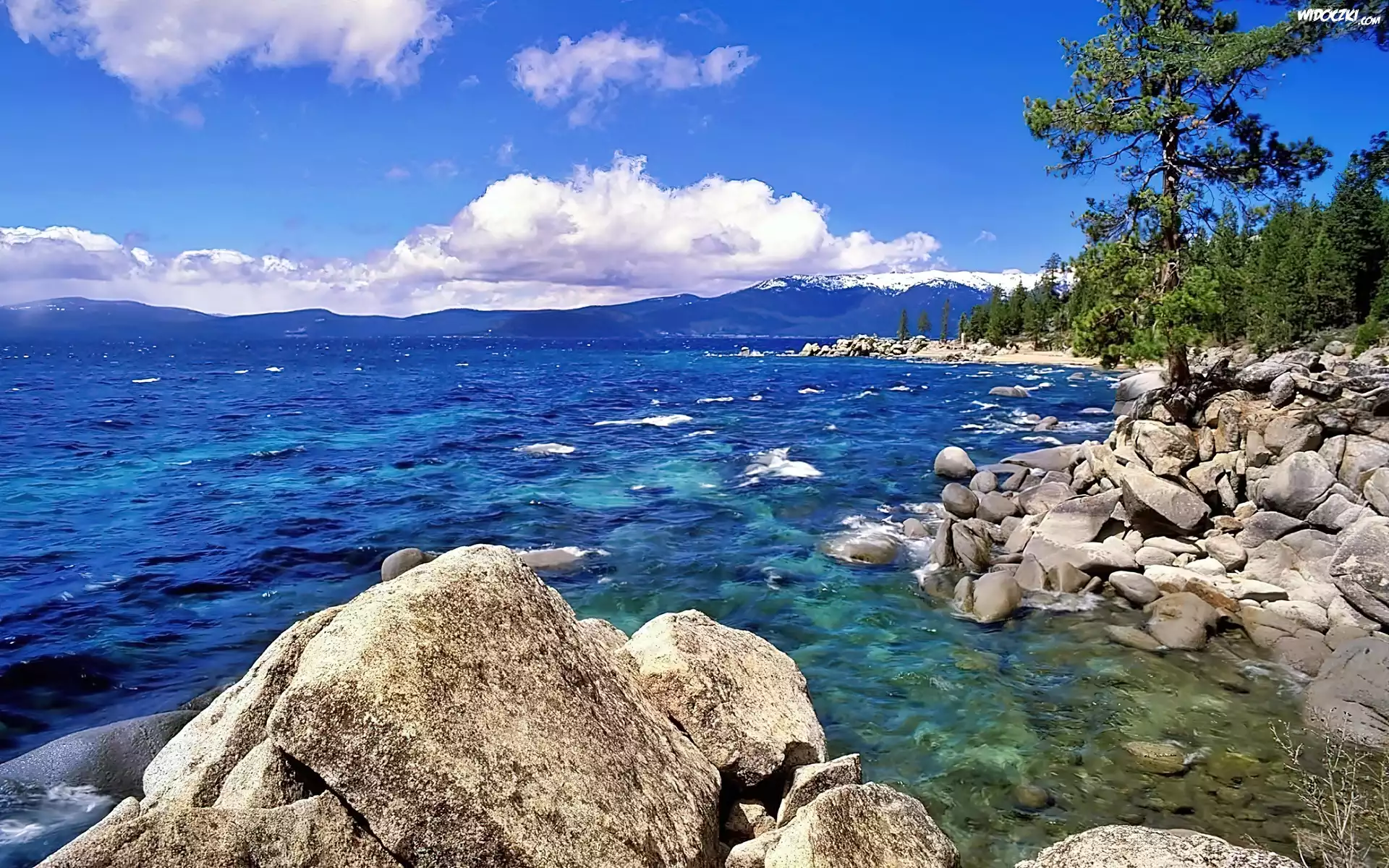 Nevada, Jezioro, Tahoe, Głazy, Las