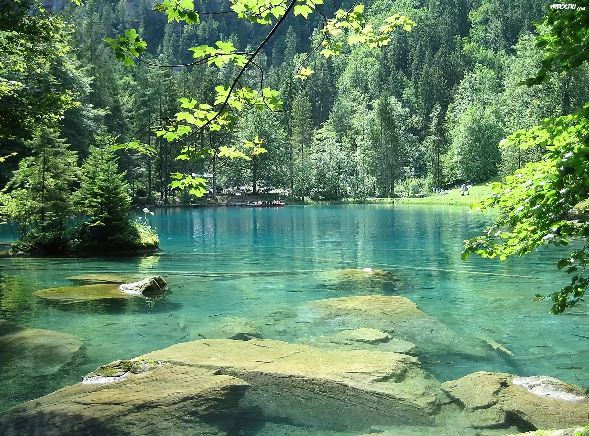 Niebieskie, Jezioro, Kamienie, Las, Szwajcaria