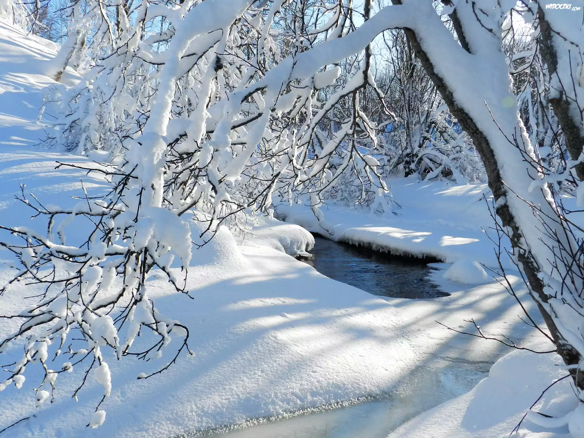Zima, Śnieg, Ośnieżone, Drzewa, Gałęzie, Strumień, Słoneczny, Dzień