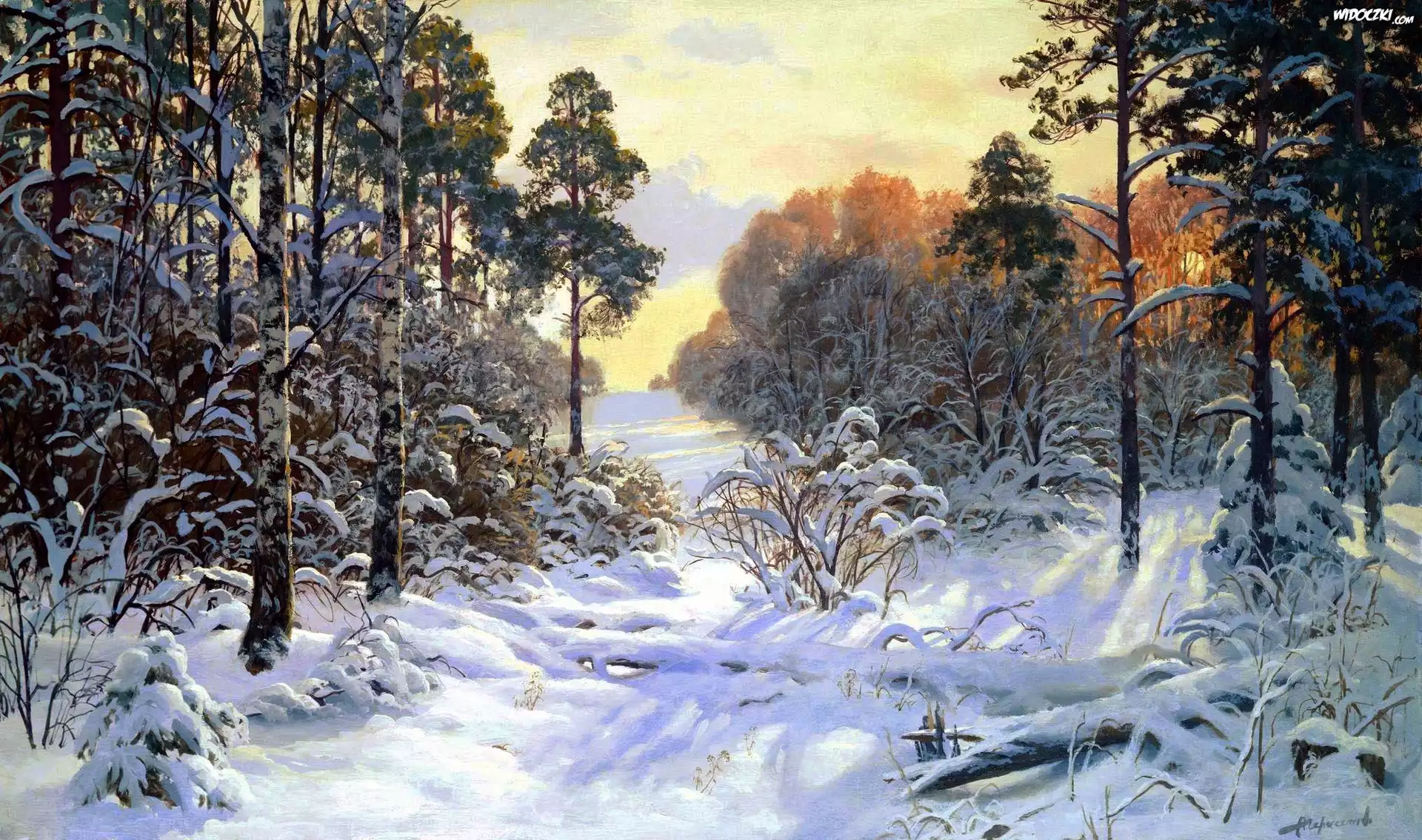 Las, Åšnieg, Zima