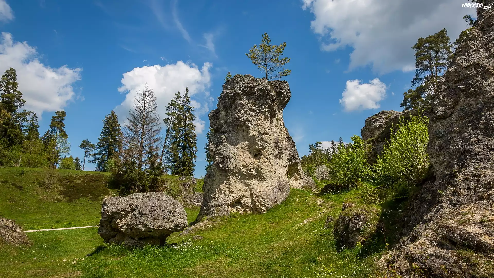 Skały, Kamienie, Trawa, Drzewa, Dolina, Wen Valley, Jura Szwabska, Niemcy