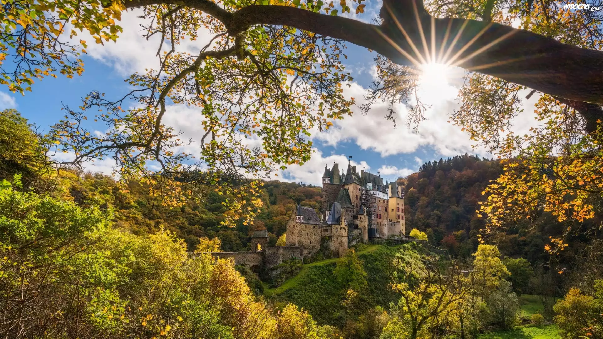 Niemcy, Nadrenia-Palatynat, Gmina Wierschem, Góry Eifel, Zamek Eltz Kotlina, Jesień, Las, Drzewa, Promienie słońca
