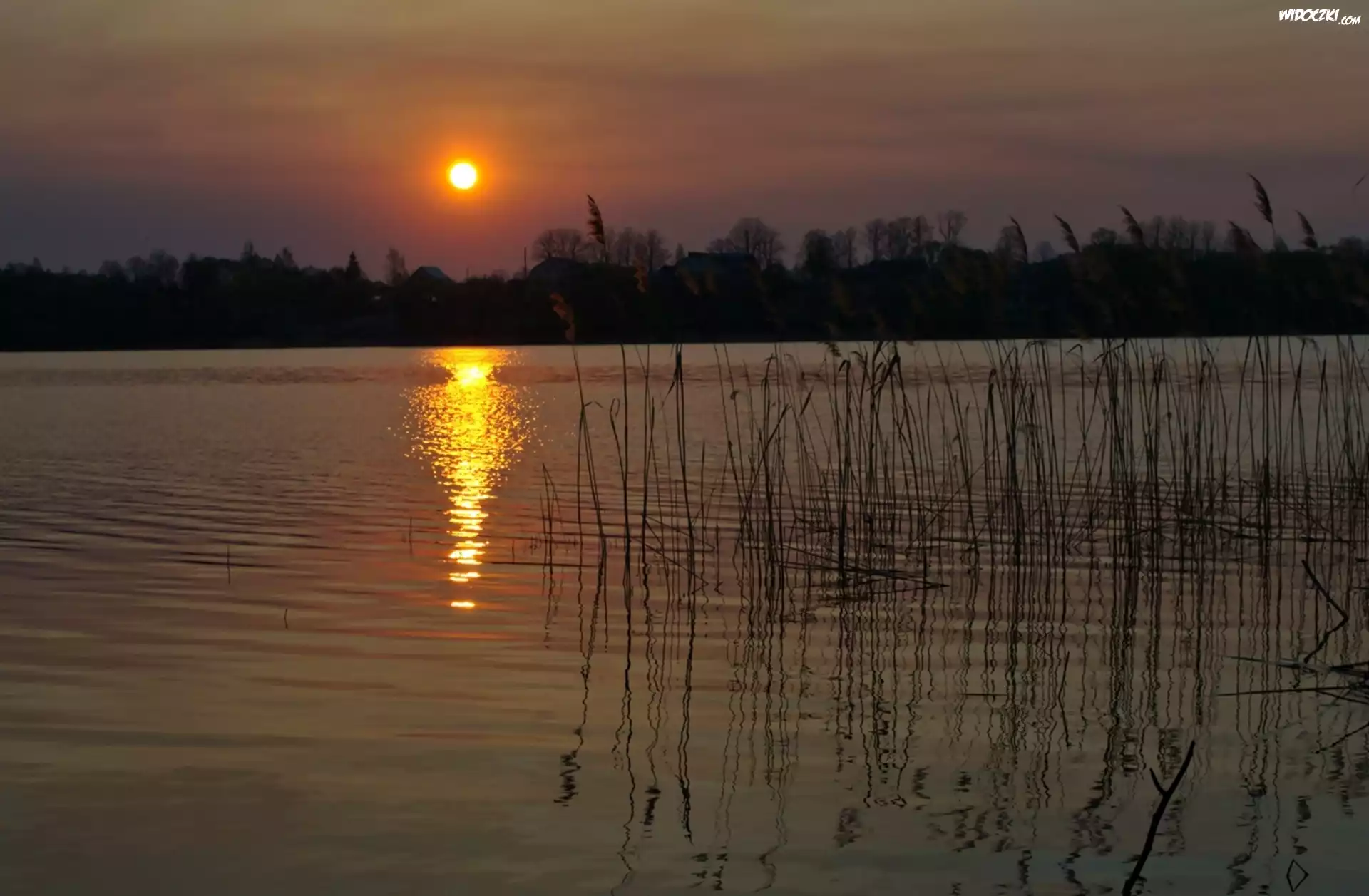 Jezioro, Noc, Księżyc