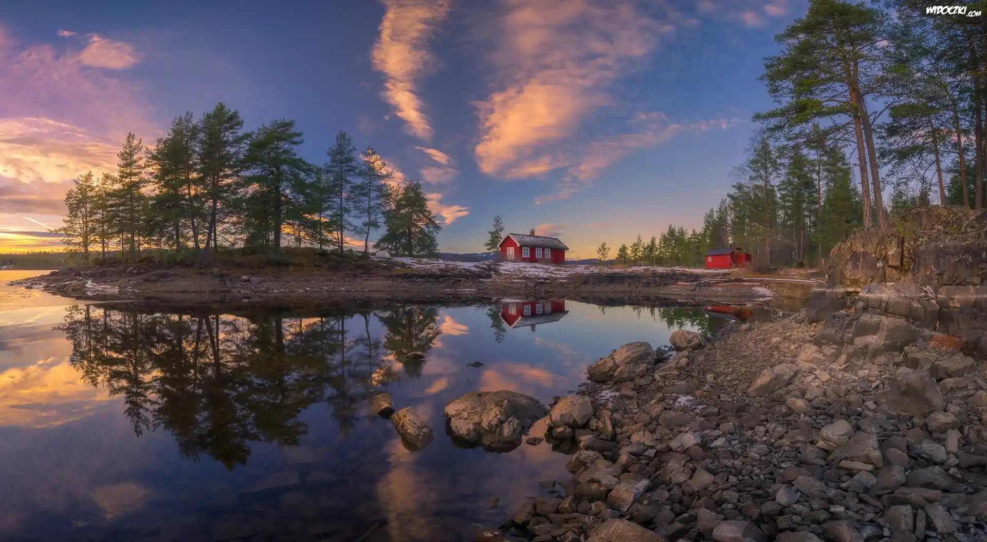 Norwegia, Ringerike, Jezioro Vaeleren, Dom, Drzewa
