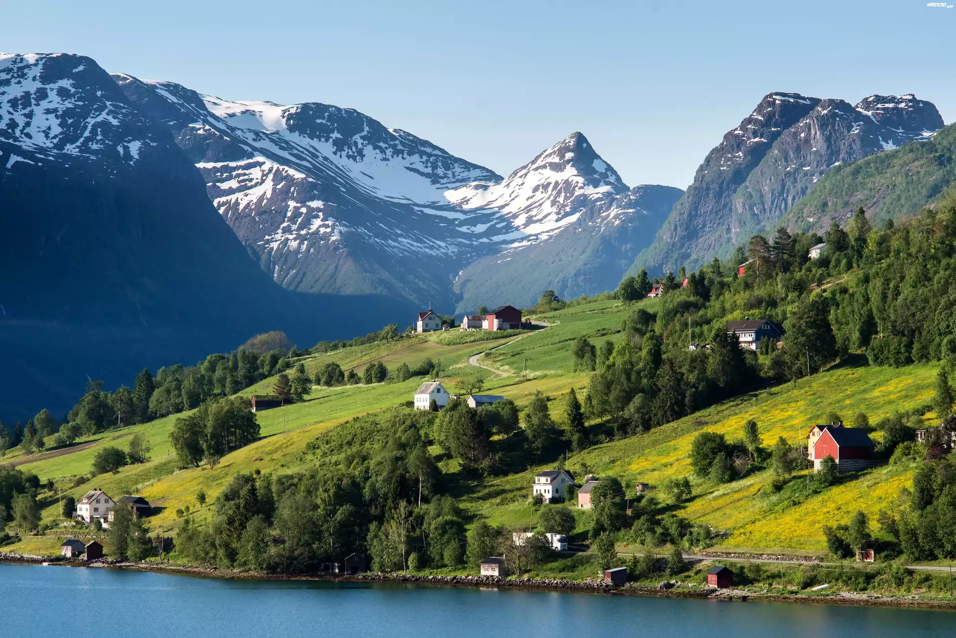 Norwegia. Góry, Drzewa, Domy
