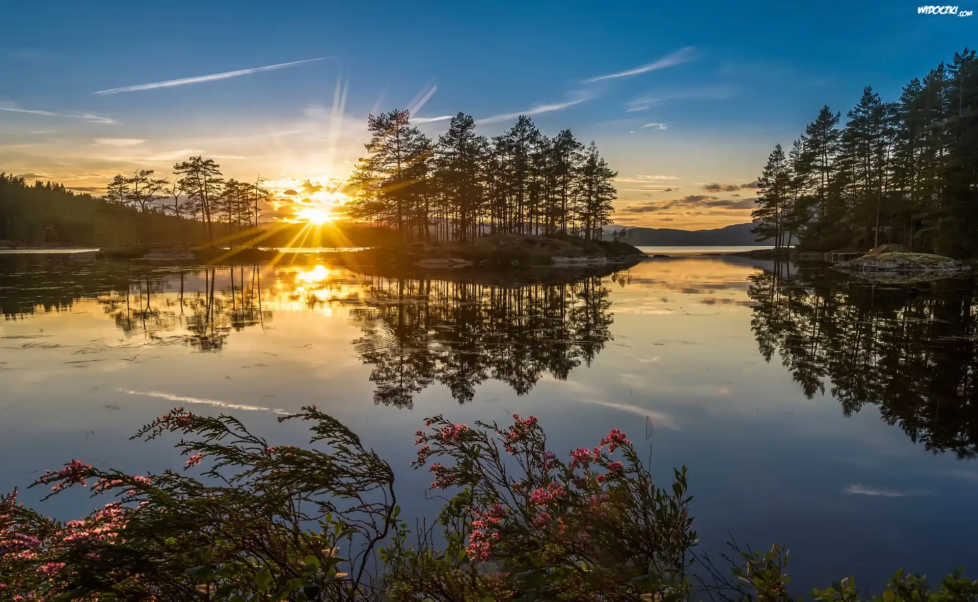 Norwegia, Wschód Słońca, Jezioro, Drzewa