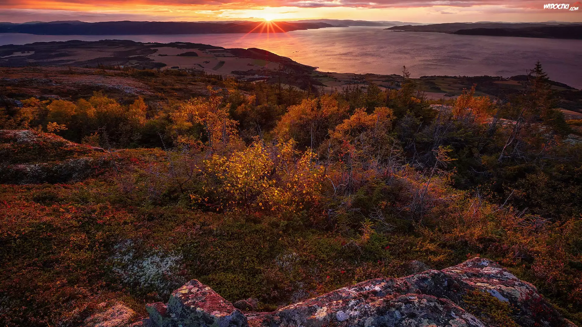 Norwegia, Trondheim, Rezerwat przyrody Bymarka, Zachód słońca, Jesień, Fiord Trondheimsfjorden, Góry, Drzewa, Kamienie