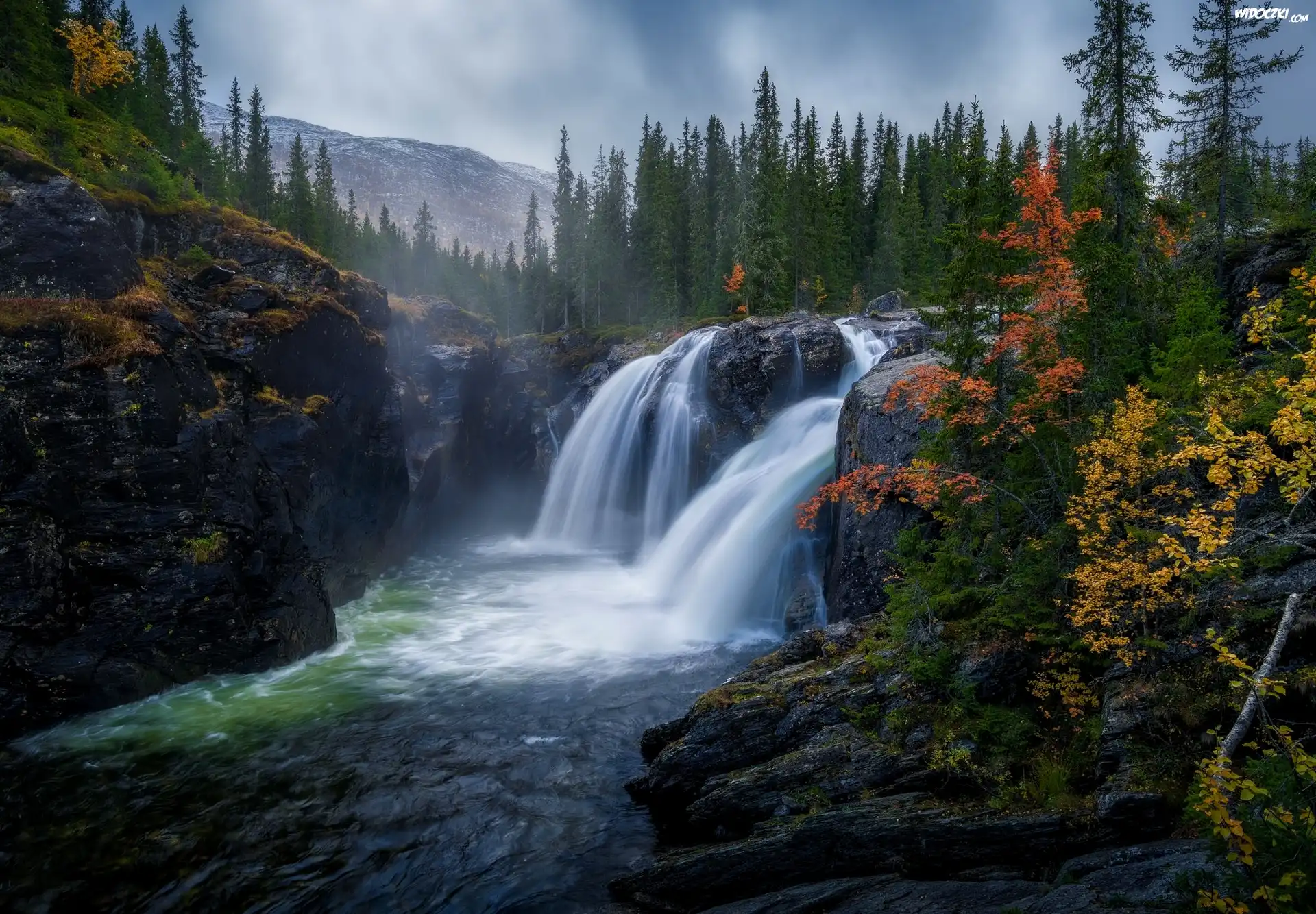 Jesień, Góry, Świerki, Skały, Wodospad Rjukandefossen, Gmina Hemsedal, Norwegia