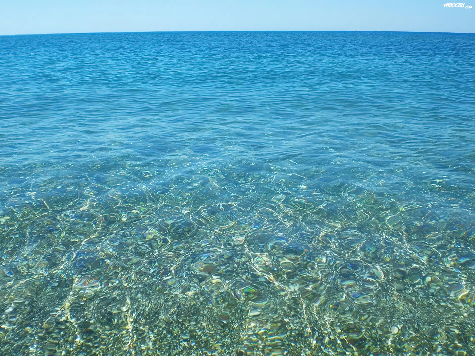 Ocean