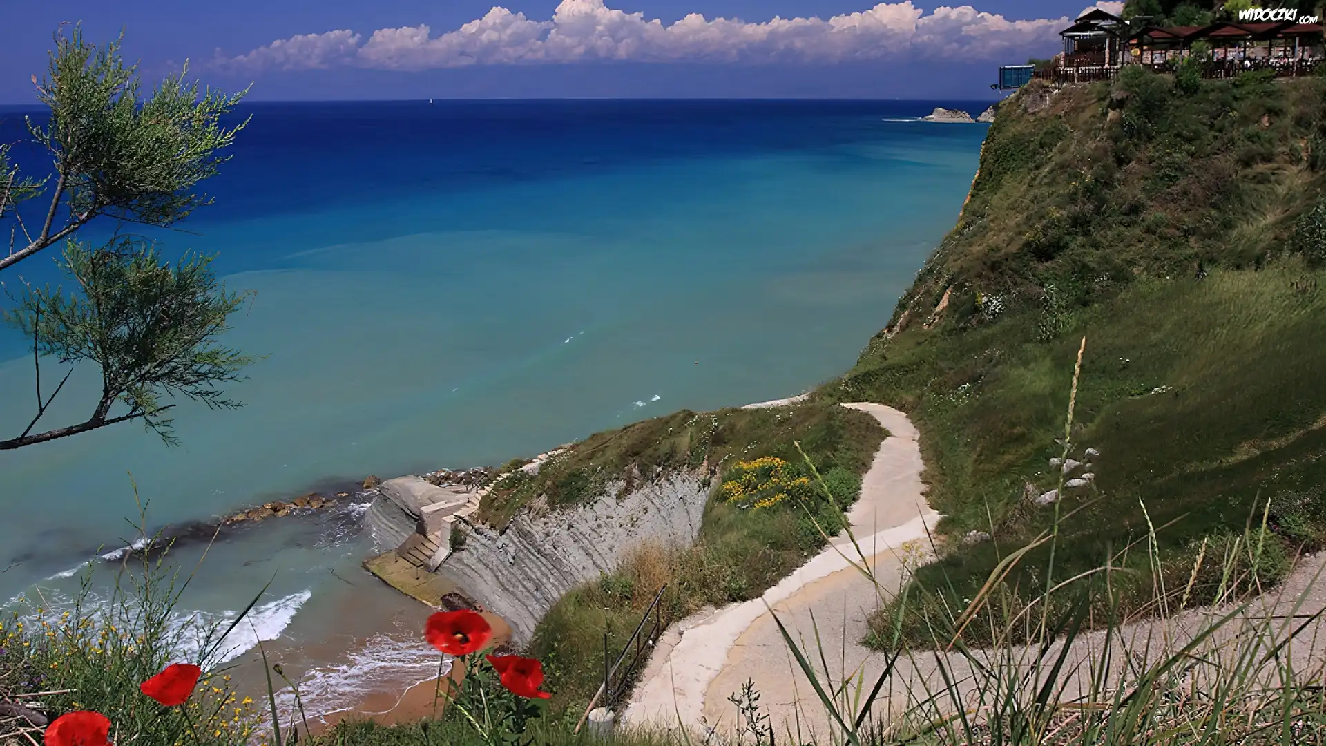 Ocean, Ścieżka, Maki, Klif