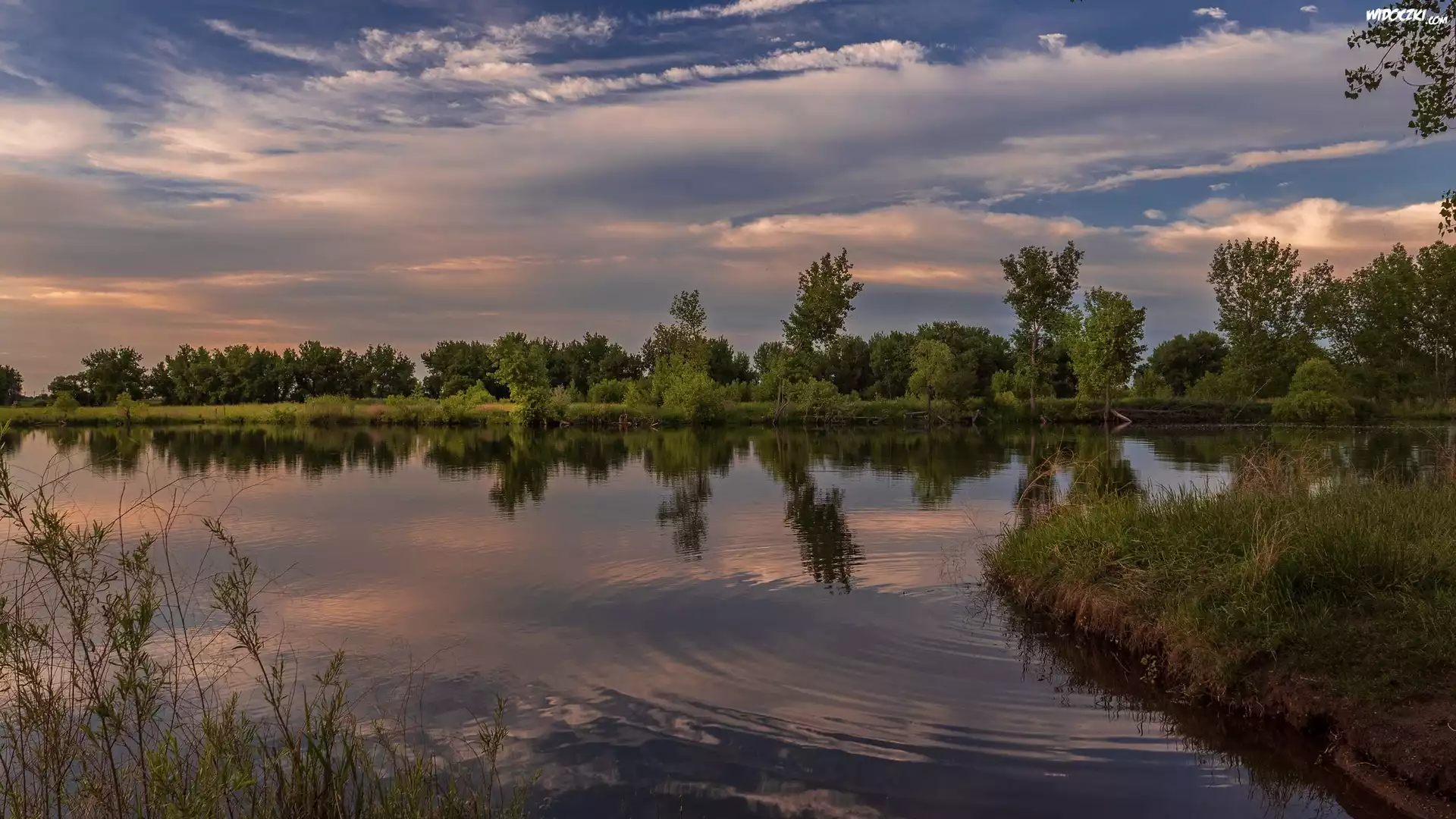 Jezioro, Drzewa, Trawa, Odbicie