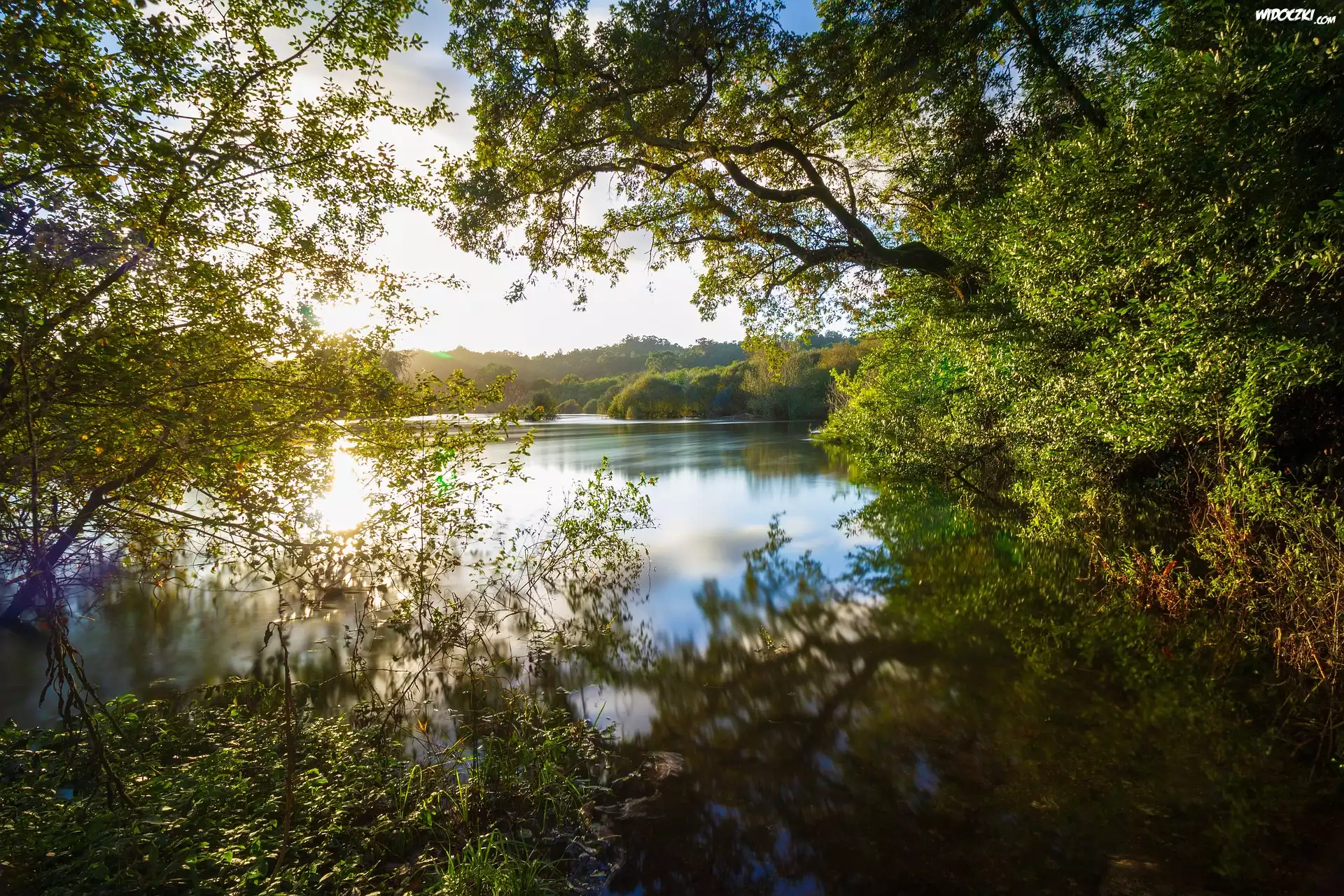 Jezioro, Drzewa, Zarosla, Odbicie