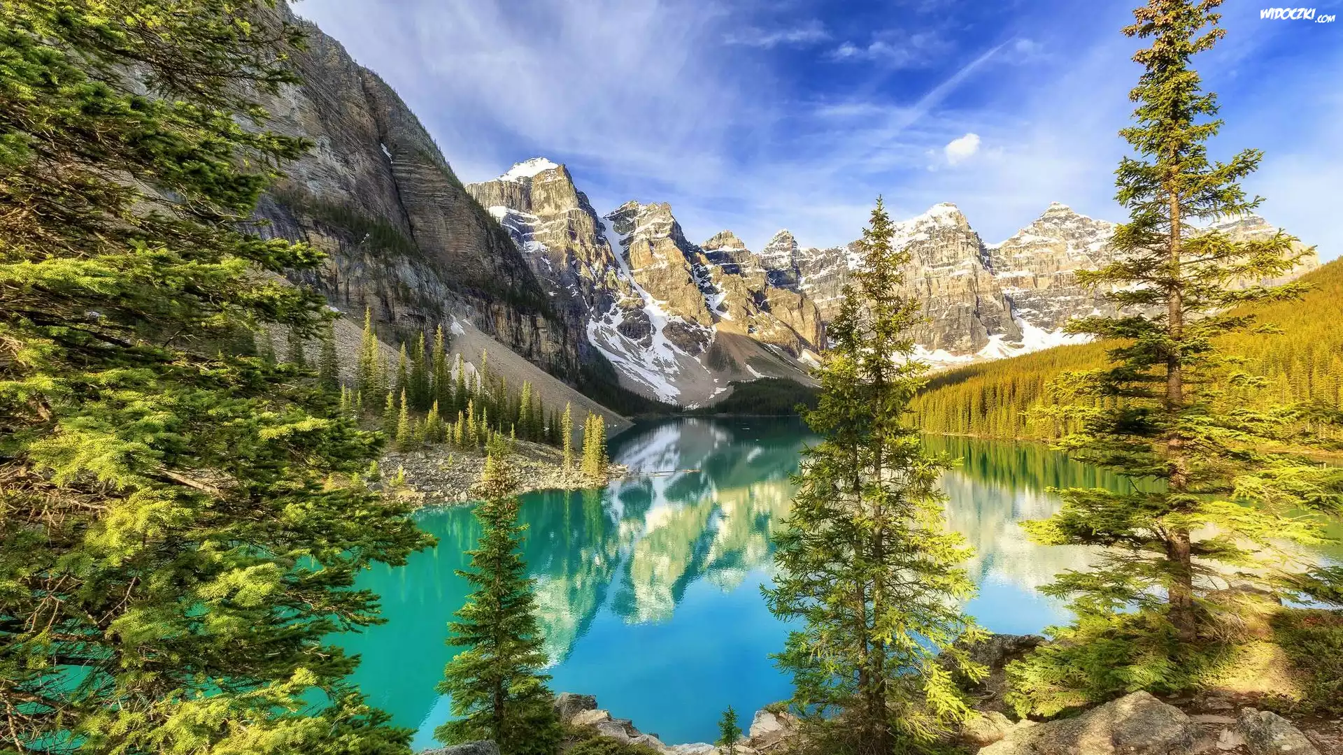 Kanada, Alberta, Park Narodowy Banff, Jezioro Moraine, Drzewa, Odbicie
