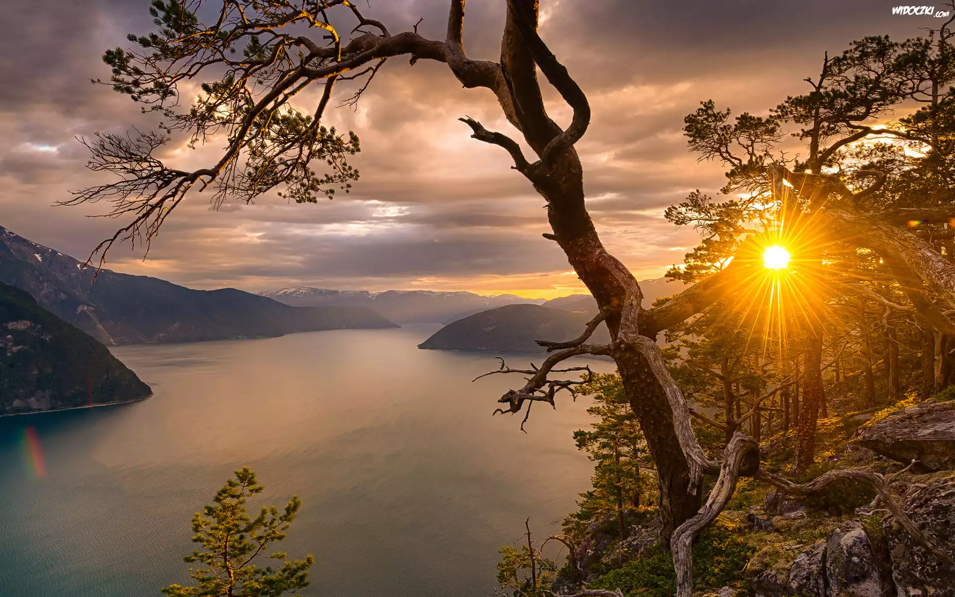 Fiord Sognefjorden, Okręg Sogn og Fjordane, Norwegia, Drzewa, Zachód słońca, Promienie słońca, Góry, Drzewo