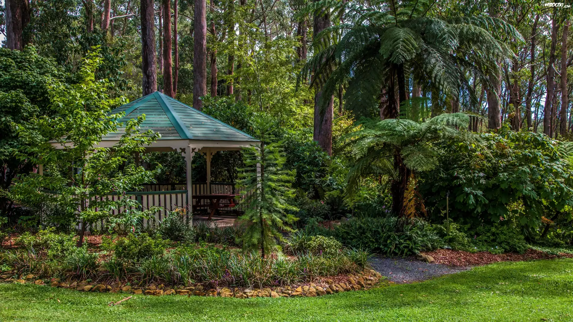 Australia, Ogród Botaniczny Mount Lofty, Krzewy, Drzewa, Altana