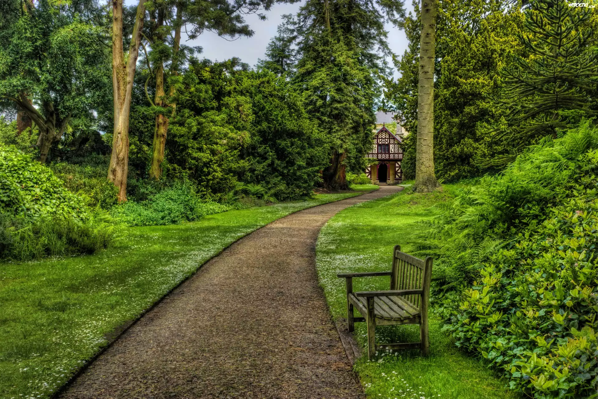 Anglia, Biddulph, Biddulph Grange Garden, Park, Ławka, Alejka, HDR, Ogród