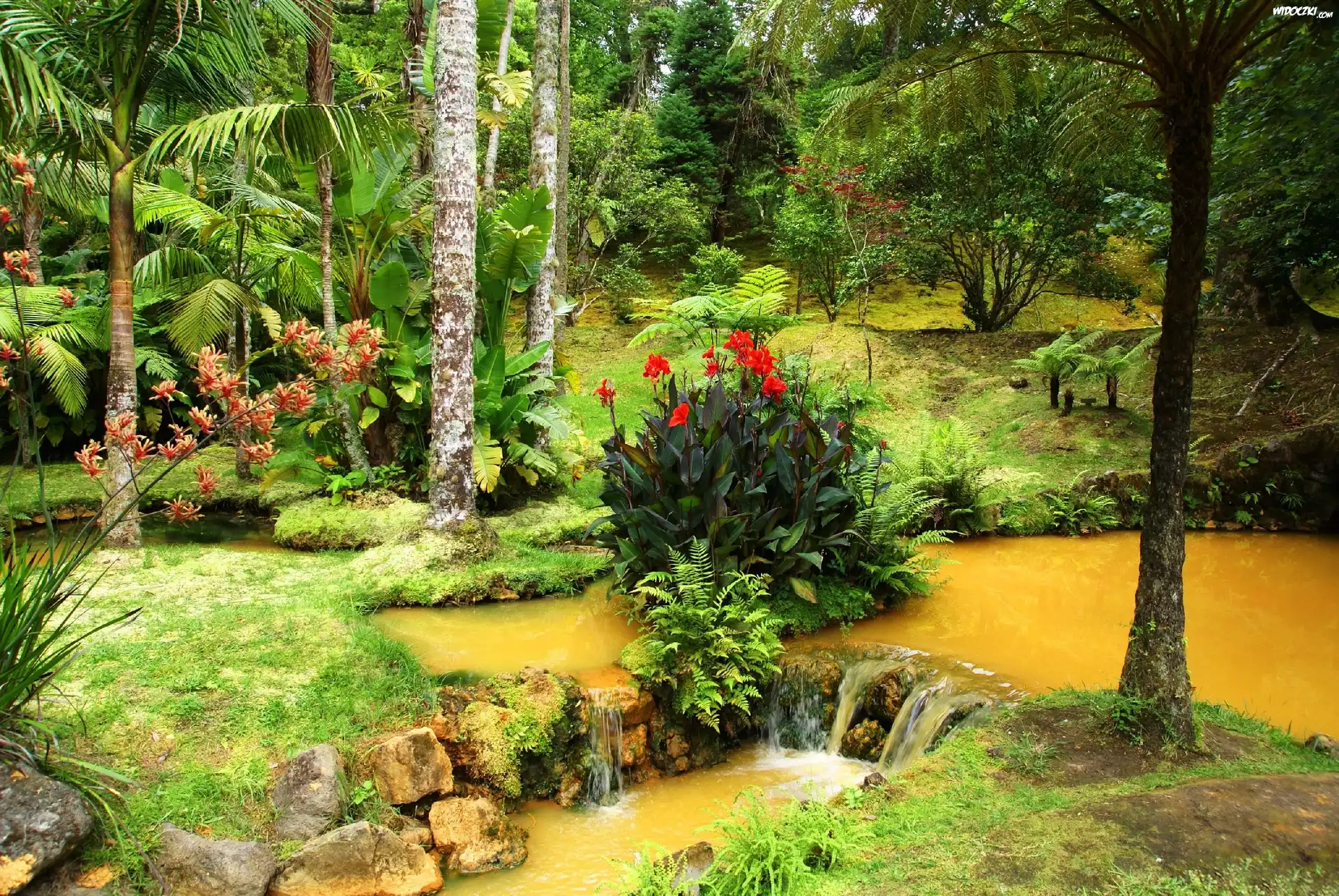 Ogród Botaniczny, Terra Nostra, Portugalia