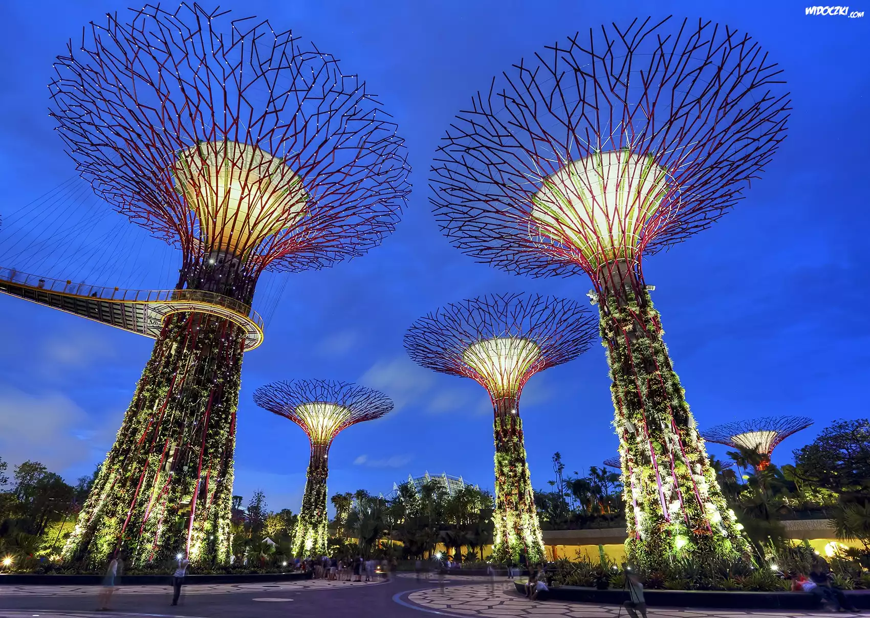 Singapur, Ogród, Botaniczny