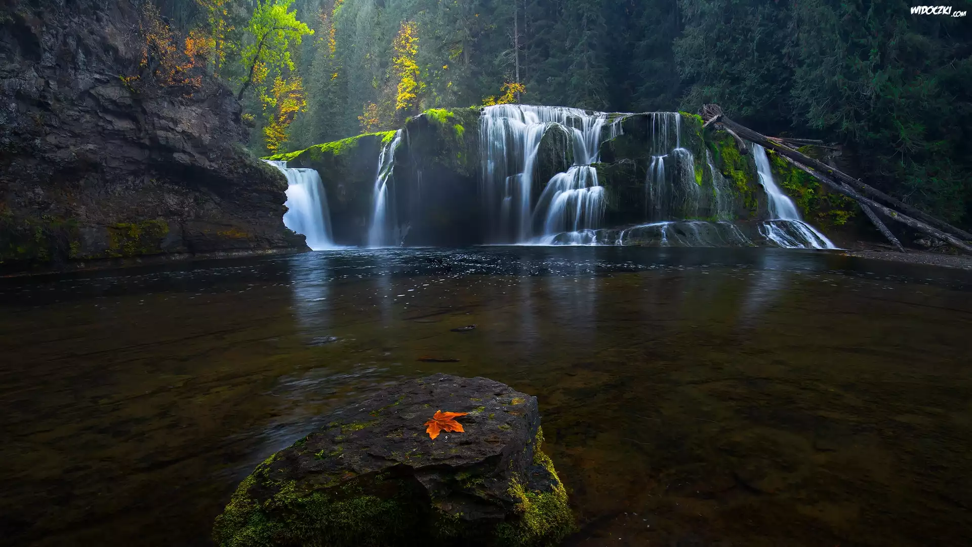 Omszałe, Kamień, Las, Liść, Wodospad Lower Lewis River Falls, Osada Cougar, Stan Waszyngton, Stany Zjednoczone