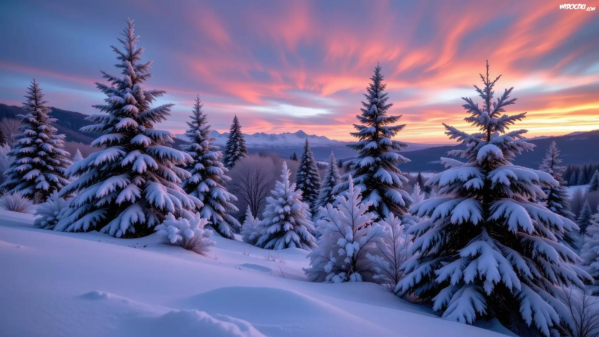 Wschód słońca, Zima, Ośnieżone, Drzewa, Zbocze