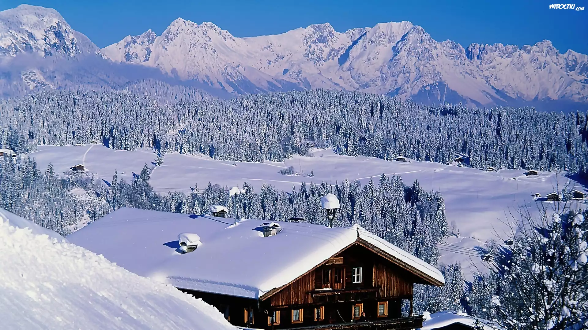 Góry, Ośnieżony, Las