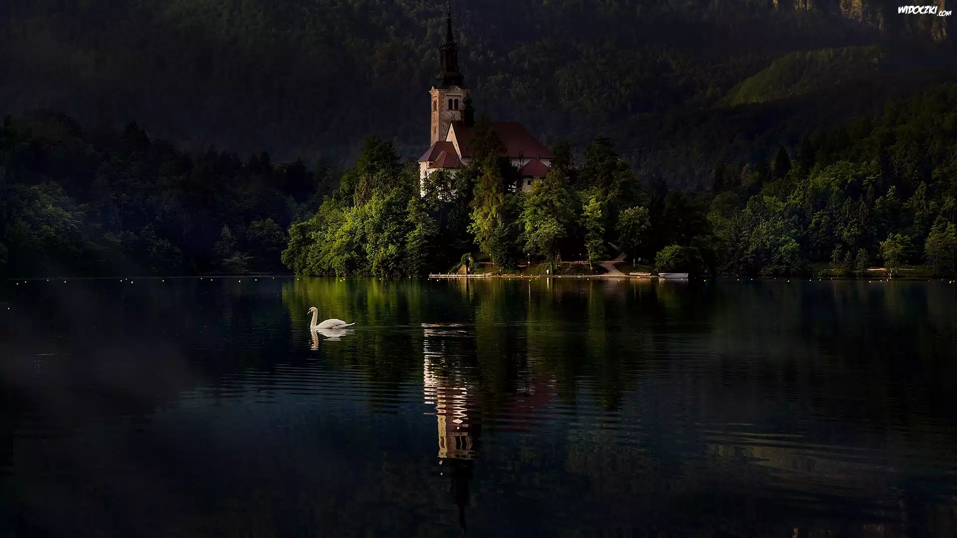 Słowenia, Jezioro Bled, Wyspa Blejski Otok, Kościół Zwiastowania Marii Panny, Wieczór, Łabędź