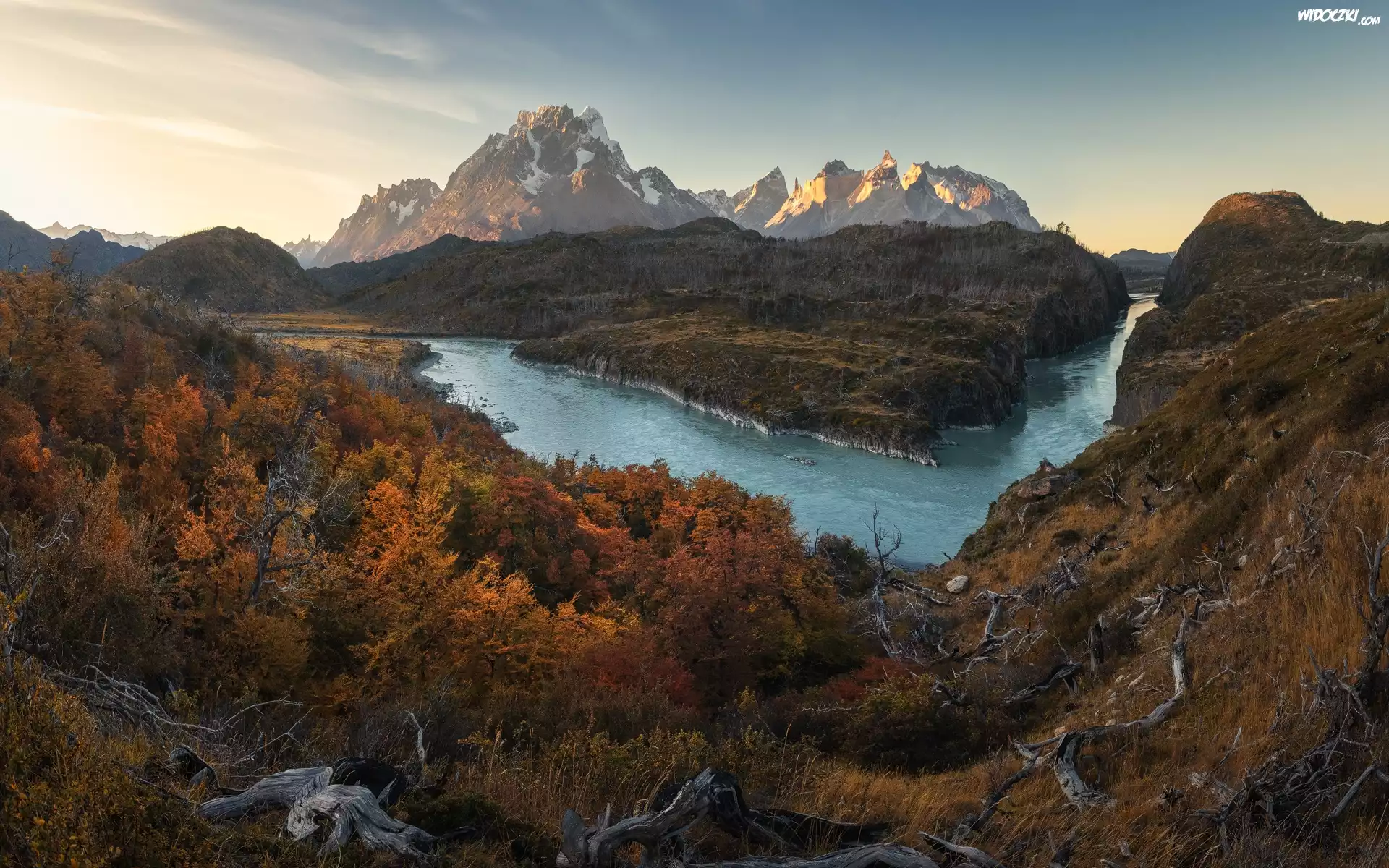 Chile, Patagonia, Park Narodowy Torres del Paine, Góry, Rzeka, Jesień, Drzewa