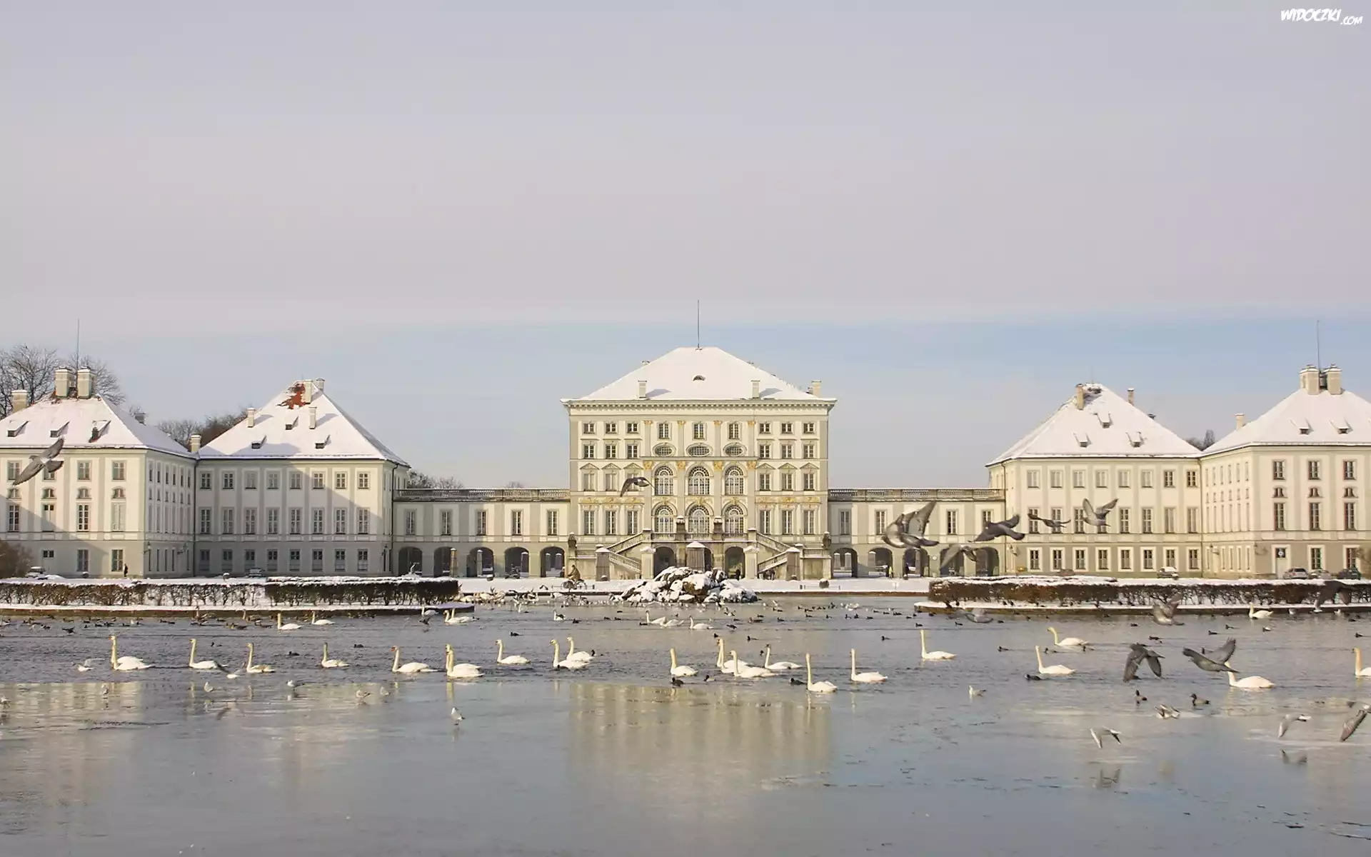 Pałace, Zima, Jezioro, Łabędzie
