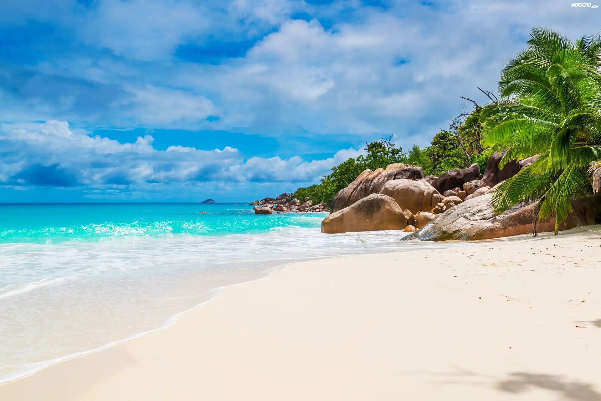 Plaża Anse St Jose, Wyspa Curieuse, Seszele, Morze, Kamienie, Palmy
