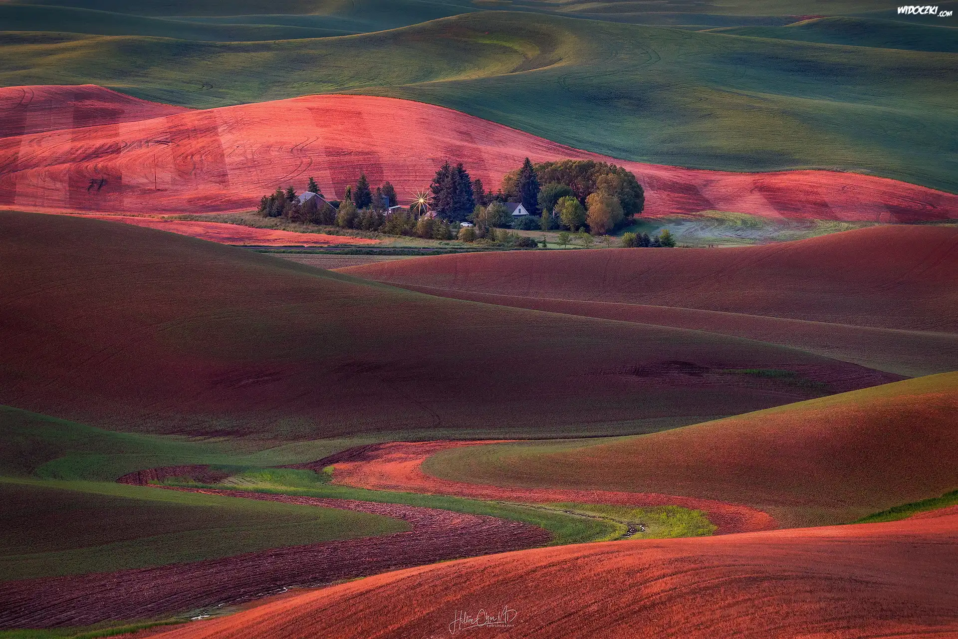 Pola uprawne, Pagórki, Domy, Drzewa, Palouse, Hrabstwo Whitman, Stan Waszyngton, Stany Zjednoczone