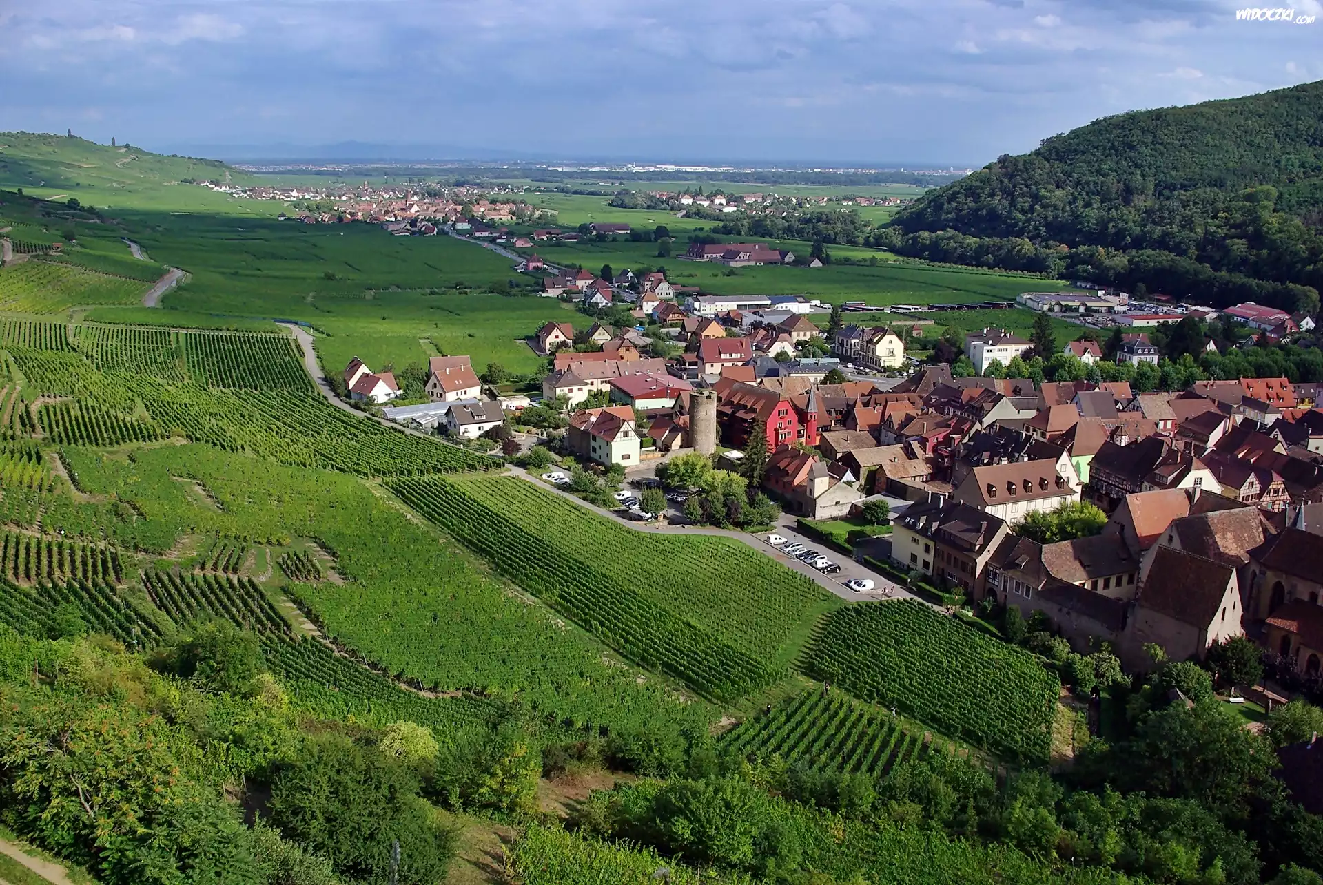 Panorama, Kayserberg, Wzgórza, Pola, Łąki, Las