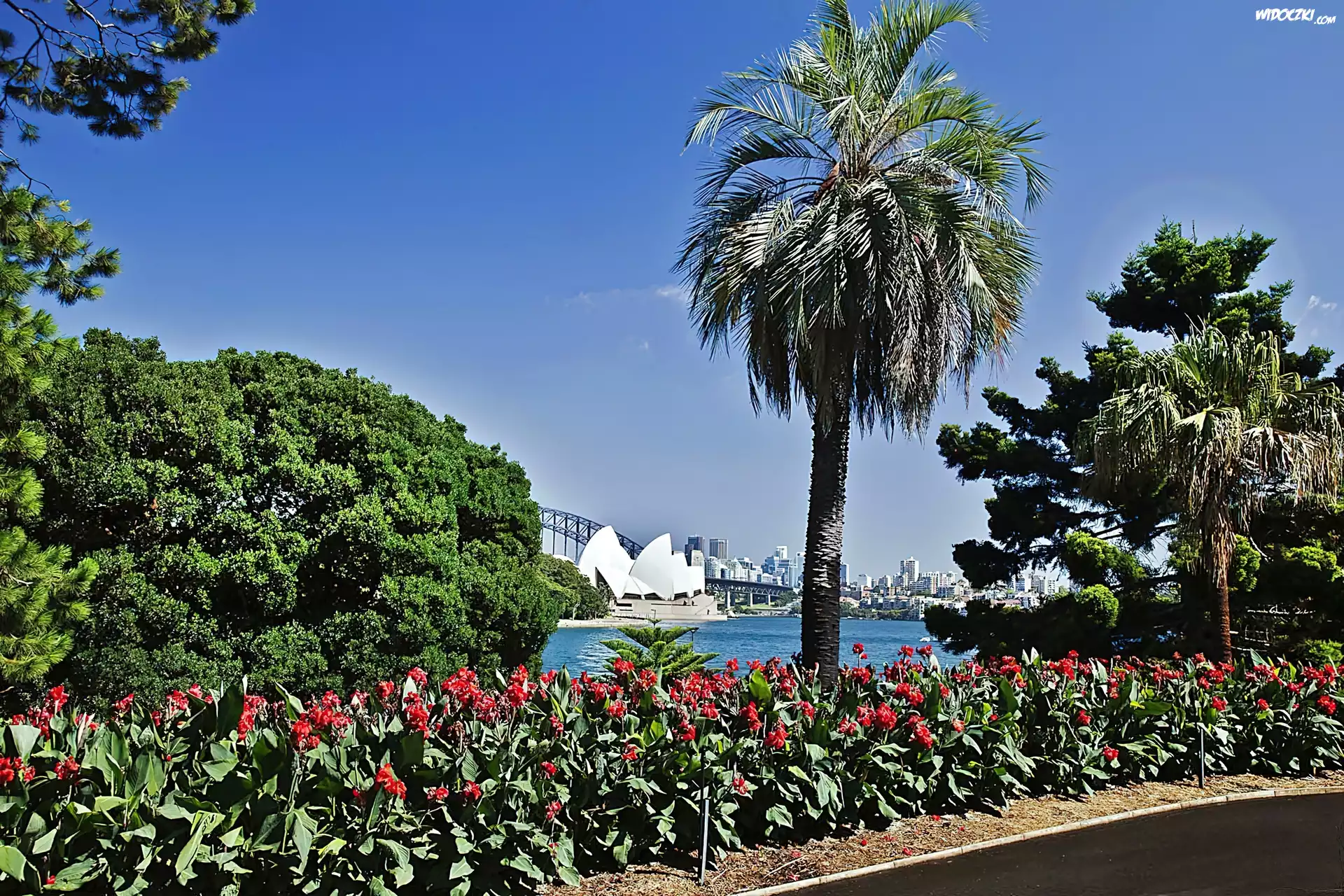 Park, Panorama, Sydney