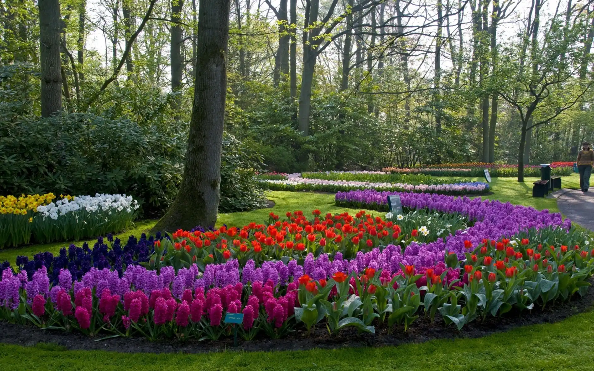 Park