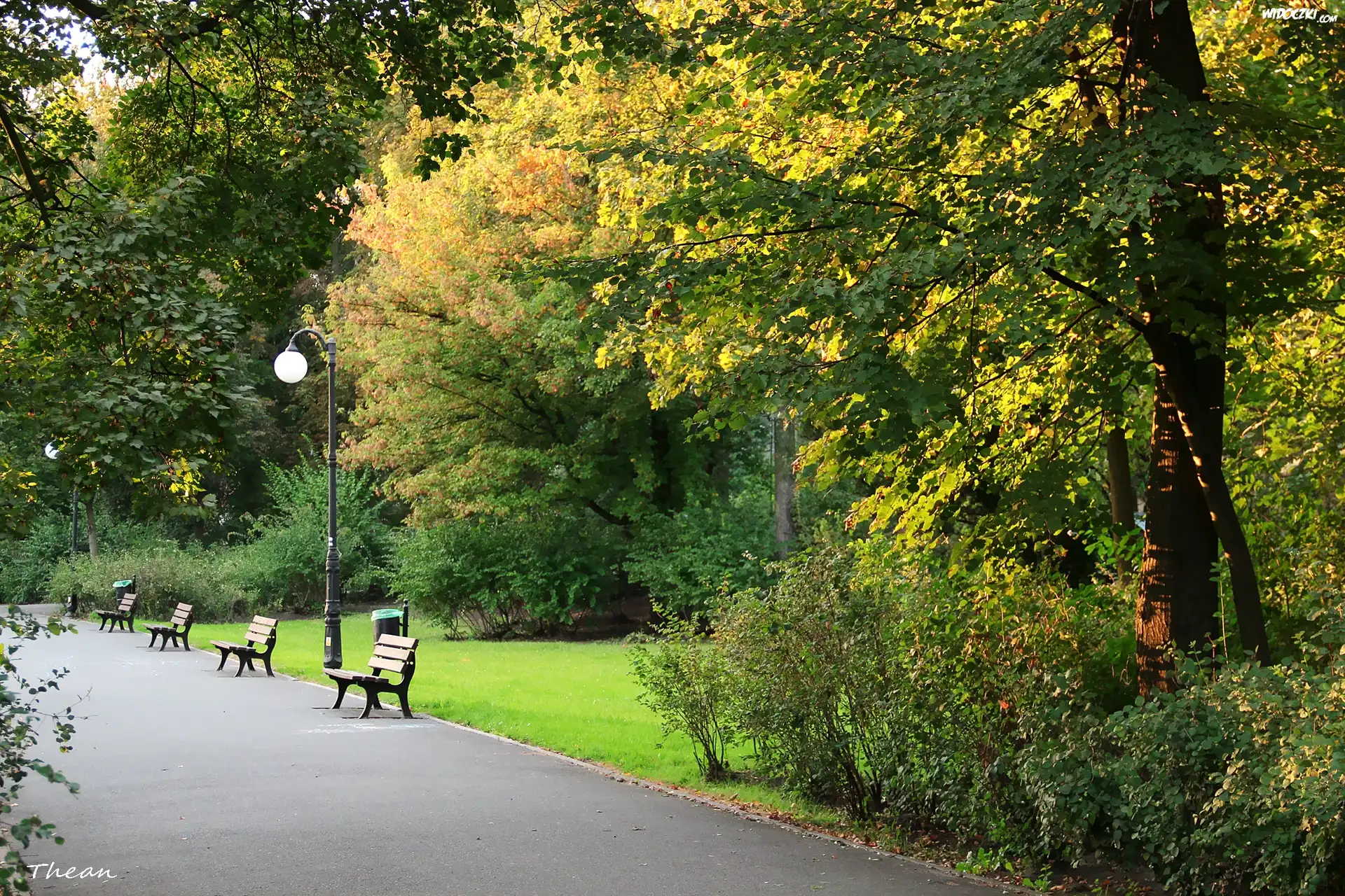 Park, Drzewa, Alejka, Ławki