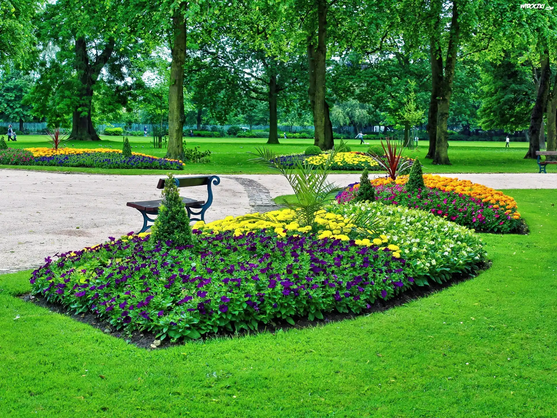 Park, Klomby, Alejka, Ławka
